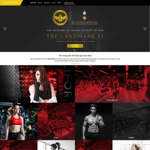 Theme wordpress tiệm gym