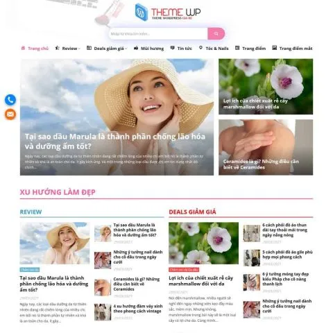 Theme wordpress review 1