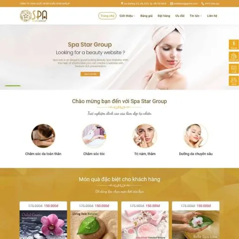 Theme wordpress spa 11