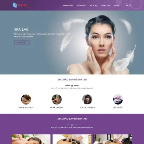 Theme wordpress spa 6